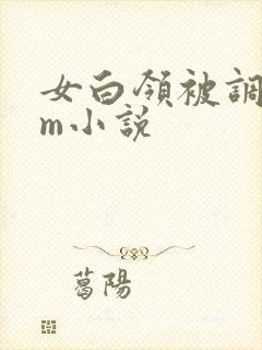 女白领被调教sm小说封面