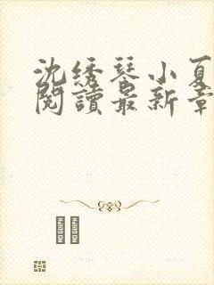 沈绣琴小夏全文阅读最新章节封面