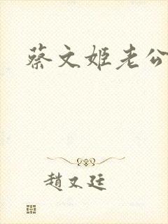 蔡文姬老公封面