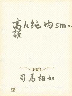 高h纯肉sm小说封面