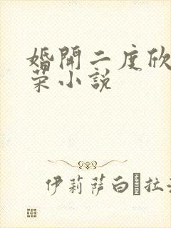 婚开二度欣欣向荣小说