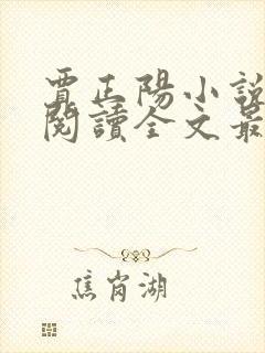 贾正阳小说免费阅读全文最新章节