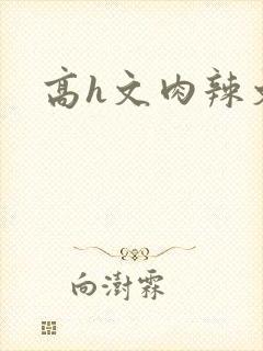 高h文肉辣文封面