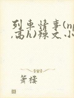 列车情事(np,高h)辣文小