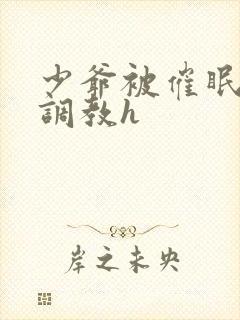 少爷被催眠玩弄调教h