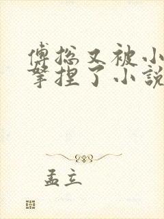 傅总又被小替身拿捏了小说免费阅读封面