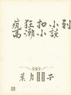 疯狂扣小到失禁高潮小说