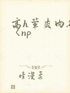 高h荤爽肉欲文〈np封面