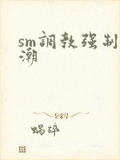 sm调教强制高潮