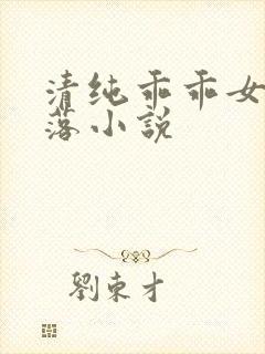 清纯乖乖女的坠落小说