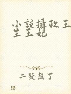 小说摄政王的重生王妃
