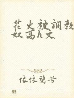 花火被调教成肉奴高h文