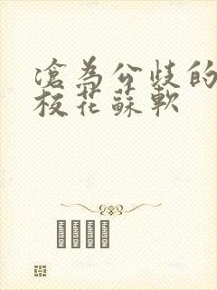 沧为公歧的清纯校花苏软