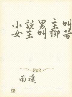 小说男主叫秦峥女主叫柳若