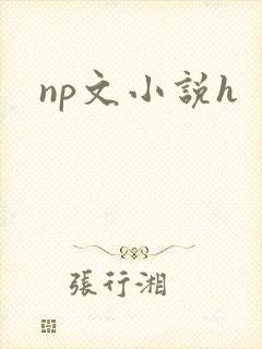 np文小说h封面