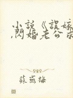 小说《误嫁豪门,闪婚老公求见面》