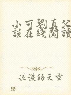 小可刘真父女小说在线阅读