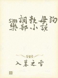 sm调教母狗俱乐部小说