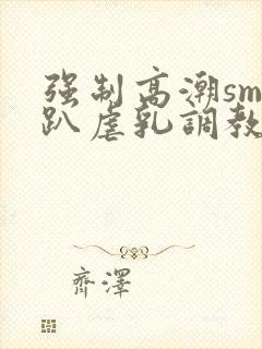 强制高潮sm跪趴虐乳调教小说