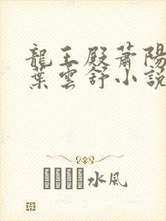 龙王殿萧阳萧阳叶云舒小说封面