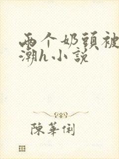 两个奶头被捏高潮h小说