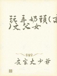 玩弄奶头(高h)文父女