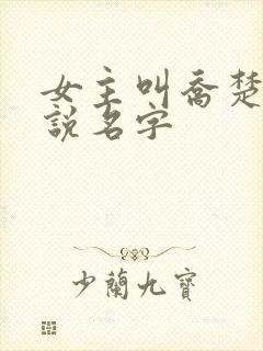 女主叫乔楚的小说名字