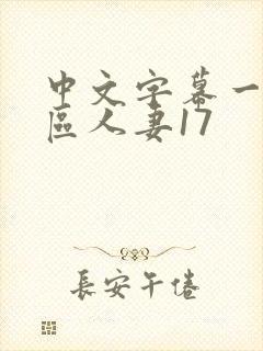 中文字幕一区二区人妻17