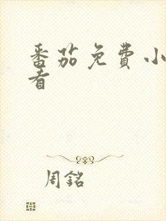 番茄免费小说好看