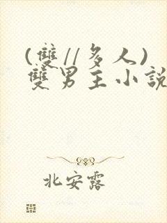 (双//多人)双男主小说推荐