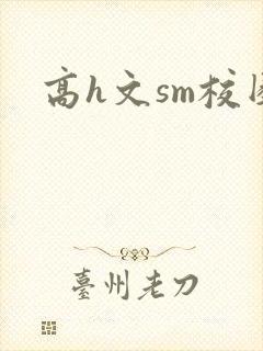 高h文sm校园
