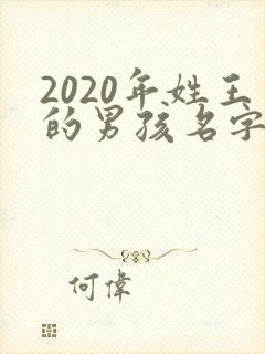 2020年姓王的男孩名字