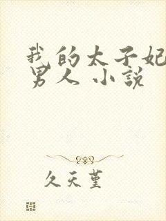 我的太子妃是个男人 小说