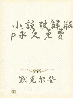 小说破解版vip永久免费