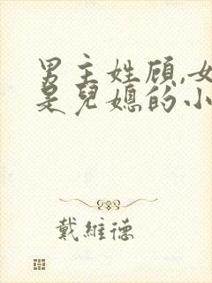 男主姓顾,女主是儿媳的小说封面