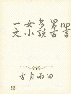 一女多男np辣文小说古言