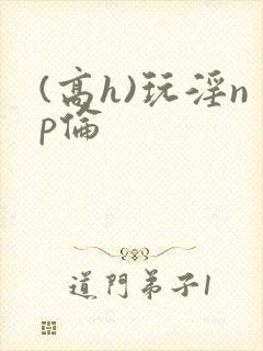 (高h)玩淫np伦
