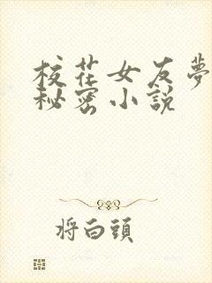 校花女友梦涵的秘密小说封面