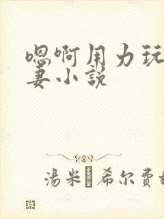 嗯啊用力玩弄人妻小说封面