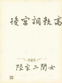 后宫调教高h文