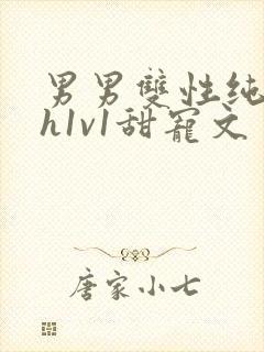 男男双性纯肉高h1v1甜宠文