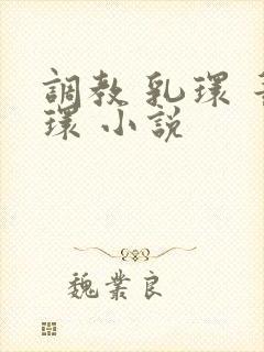 调教 乳环 蒂环 小说