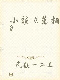 小说《万相之王》