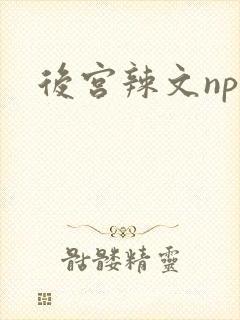 后宫辣文np