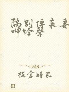 隔别传来妻子了呻吟声封面