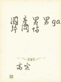 国产男男gay片网站