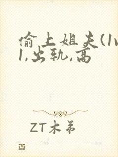 偷上姐夫(1v1,出轨,高封面