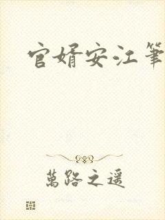 官婿安江笔趣阁