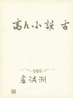 高h小说 古言