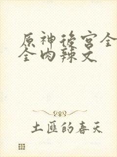 原神后宫全黄h全肉辣文